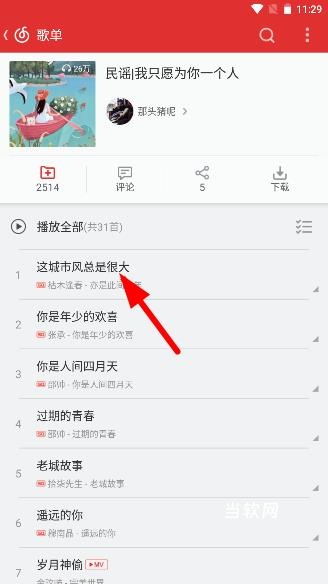 网易云音乐极致精简版_https://downruan.com_音乐软件_第4张